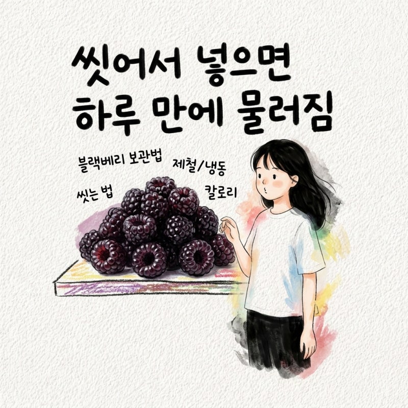 블랙베리 보관법과 씻는법 지나 먹는법 제철 냉동 칼로리