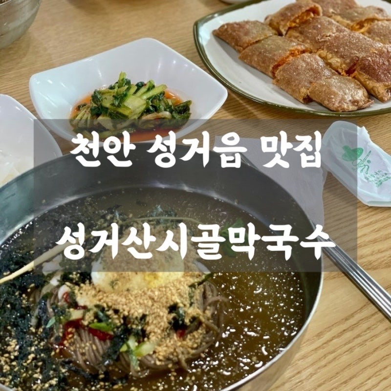 천안 막국수 맛집 ㅣ 성거산시골막국수 - 시원한 살얼음 물막국수 & 겉바속촉 메밀전병 솔직....