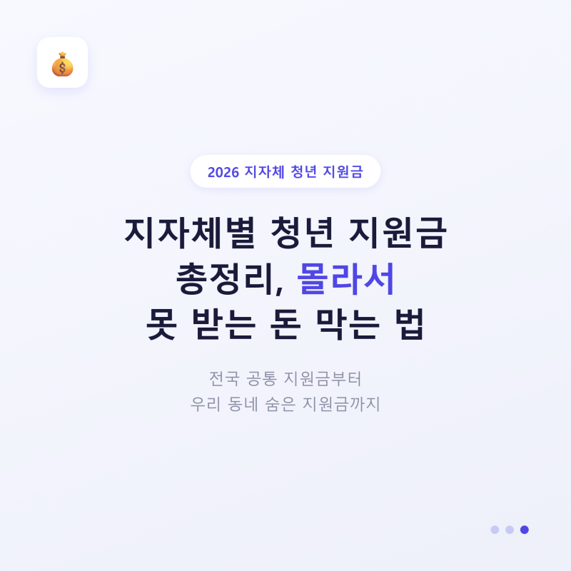 지자체별 청년 지원금 총정리, 몰라서 못 받는 돈 막는 법