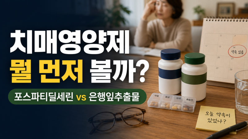 치매 영양제 포스파티딜세린 은행잎추출물 추천 비교 효능 총정리