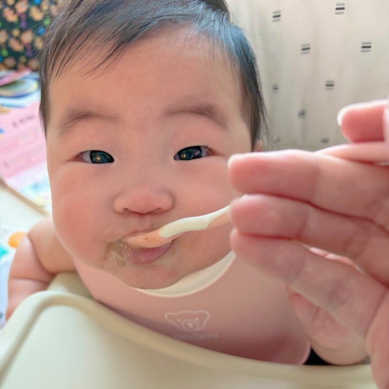 베베쿡 체험팩 신청방법｜초기1 쌀미음 감자미음 청경채미음 후기