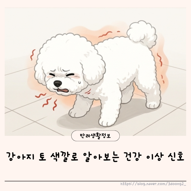 강아지 토했을 때 색깔과 상태별 확인할 점