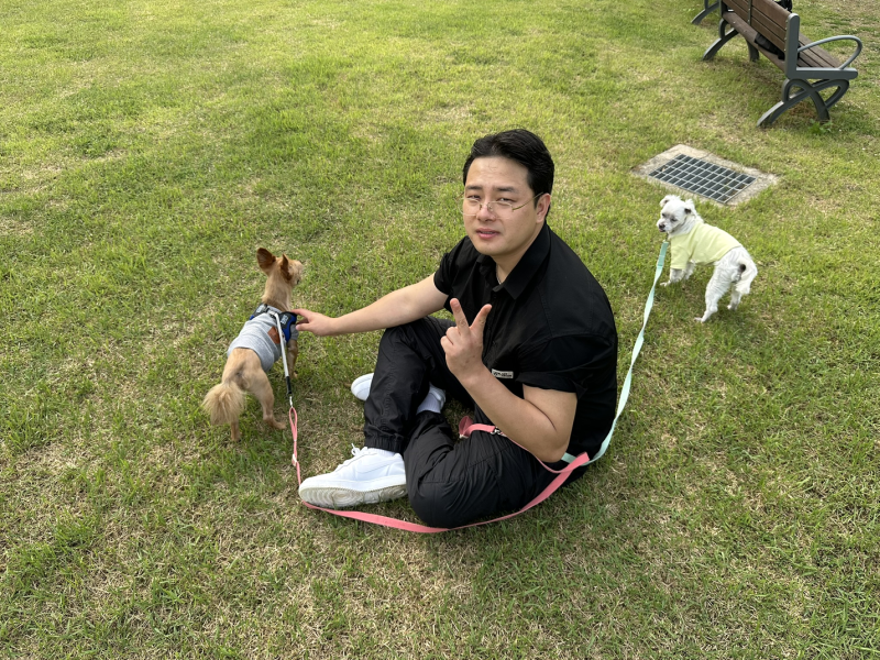 인천 강아지무료분양 올리며 파양부터 생각했다면