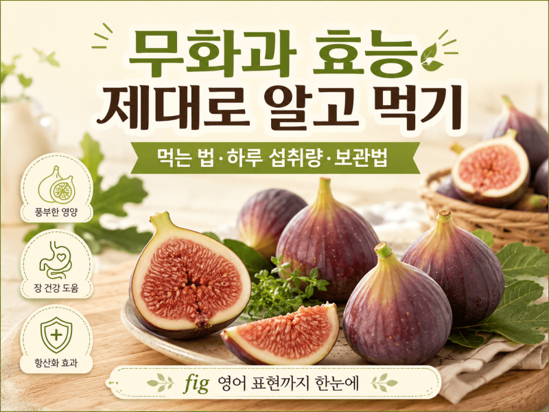무화과 효능 제대로 알고 먹기｜먹는 법·하루 섭취량·보관법과 fig 영어 표현