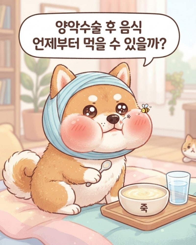 양악수술 후 음식, 식사, 운전, 비행기, 양치 언제 가능할까? +귀 먹먹함