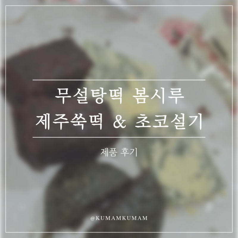 무설탕떡 봄시루 가족들과 직접 먹어본 제주쑥떡 & 초코설기 후기