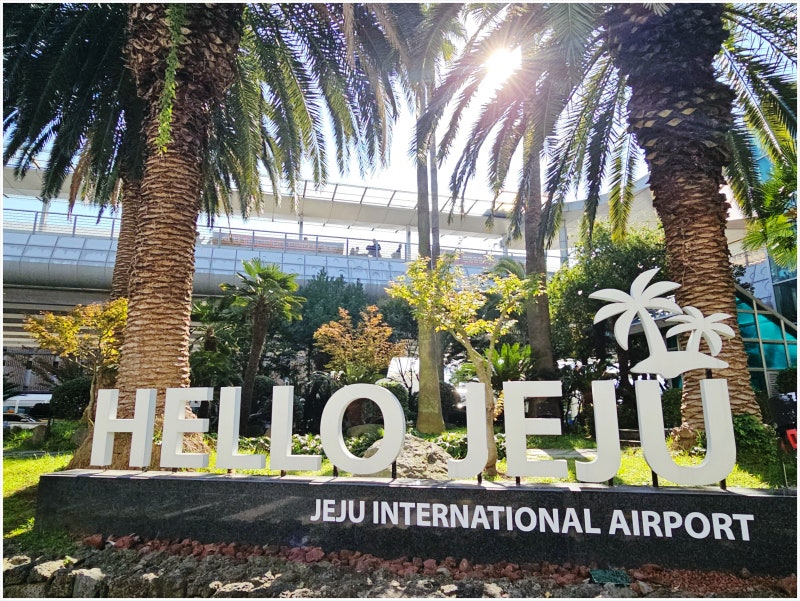제주도 바이크 여행 준비 중이라면? 제주도 오토바이 렌트 알아보기