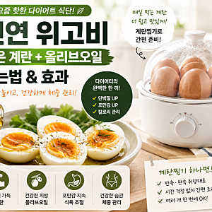 천연 위고비 식단이 뭐길래? 삶은 계란+올리브오일 먹는법부터 계란찜기 활용까지(천연 위고....