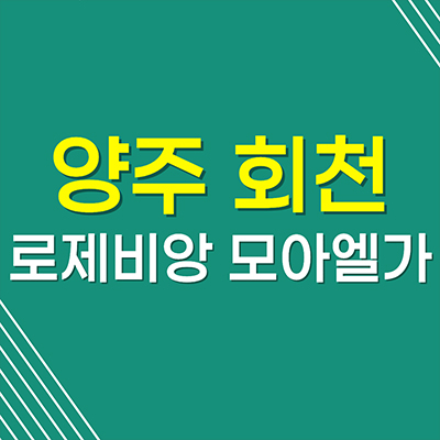 양주 회천 대광로제비앙 모아엘가 아파트 GTX회천중앙역 미분양 공급