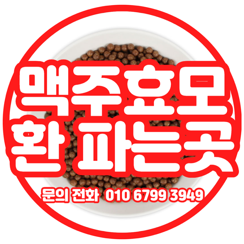 맥주효모 환 파는곳100% 맥주효모로 만든 간편한 맥주효모환