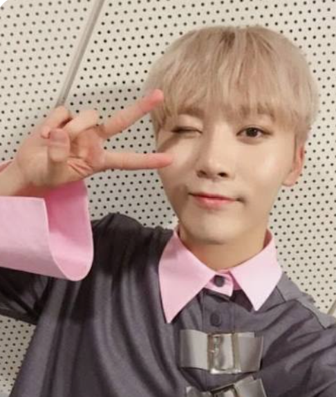If You Thought SEVENTEEN's Seungkwan Only Excelled in Variety Shows with Wonder Dogs, You're Mistaken: He Also Showed His Emotional Side with 'Lullaby'