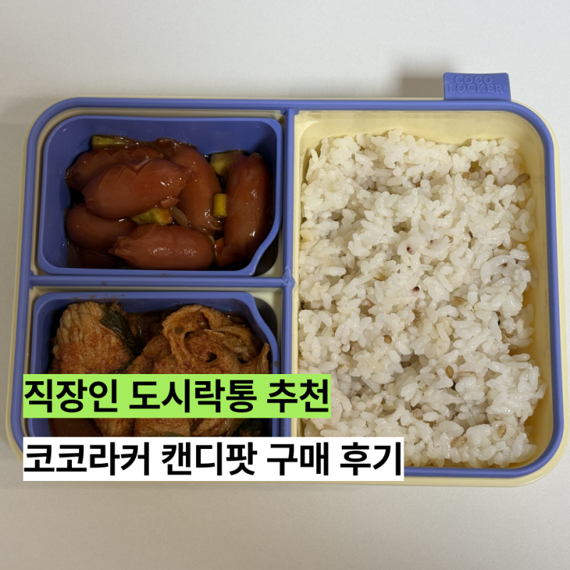 전자레인지에 바로 넣어도 되는 간편한 도시락통 코코라커 구매 후기