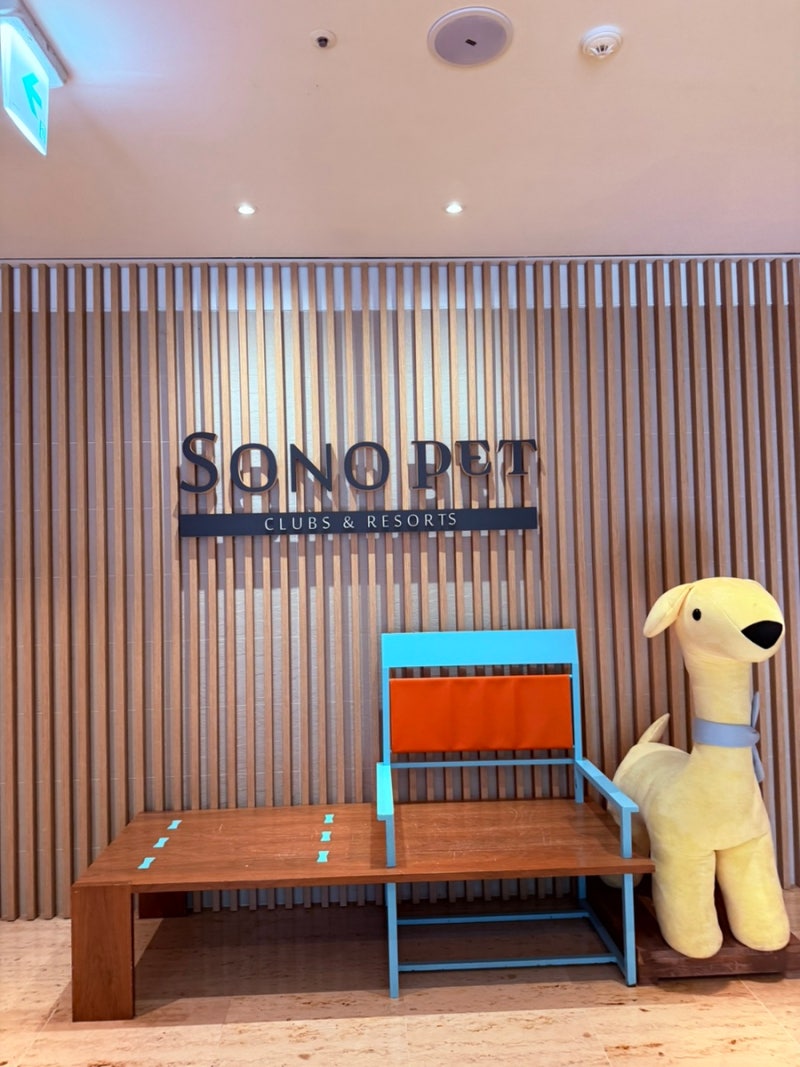 강원도 홍천 애견동반 여행지, 소노펫 비발디파크 이용후기 (강아지 놀이터·목욕시설·카페)