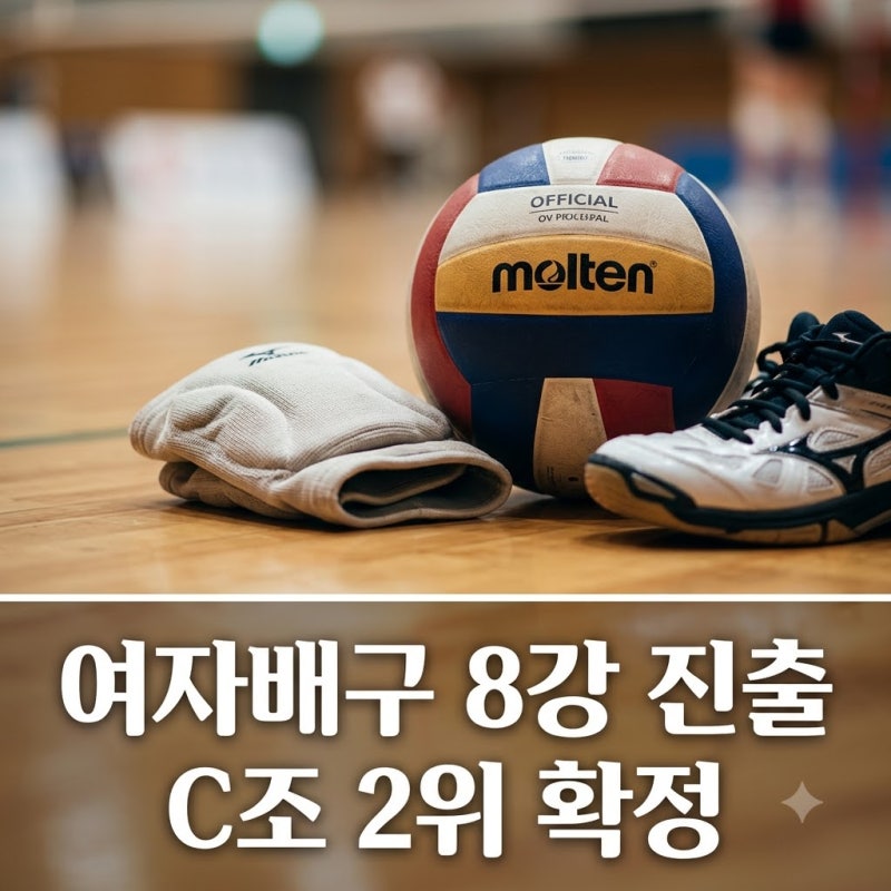 "이걸 이겨내네요" 한국 여자배구 홍콩전 8강 조건 C조 2위 확정 총정리