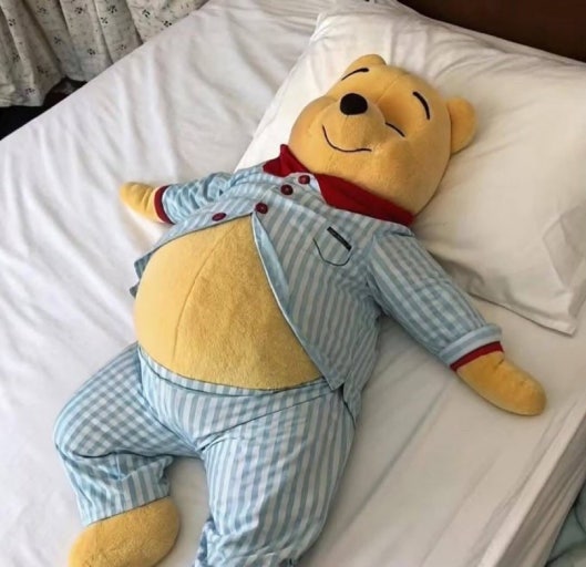 신경관결손 재검사 결과 고위험군 /신경관결손이란 무엇일까?