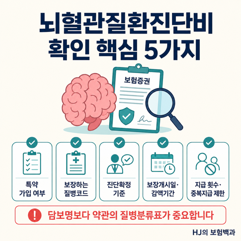 뇌혈관질환진단비 꼭 필요할까? 뇌출혈·뇌졸중 보장범위 비교