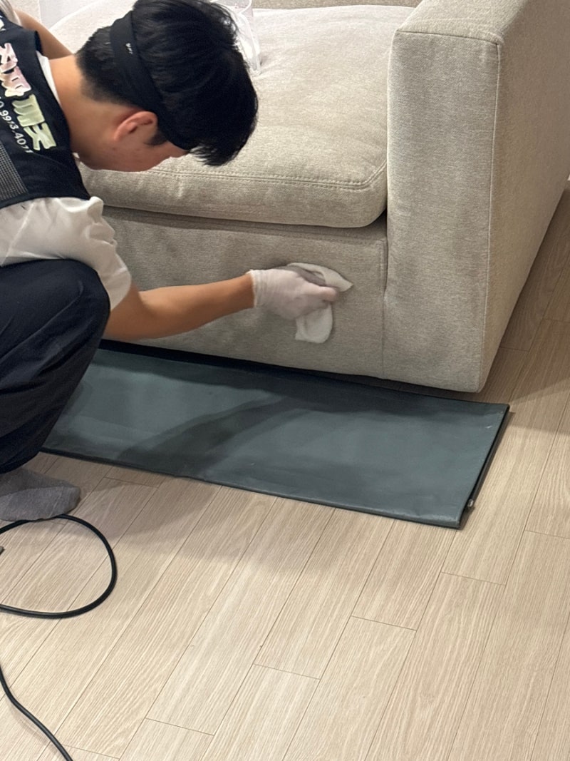 부산쇼파청소 진짜깨끗 내돈내산 솔직후기
