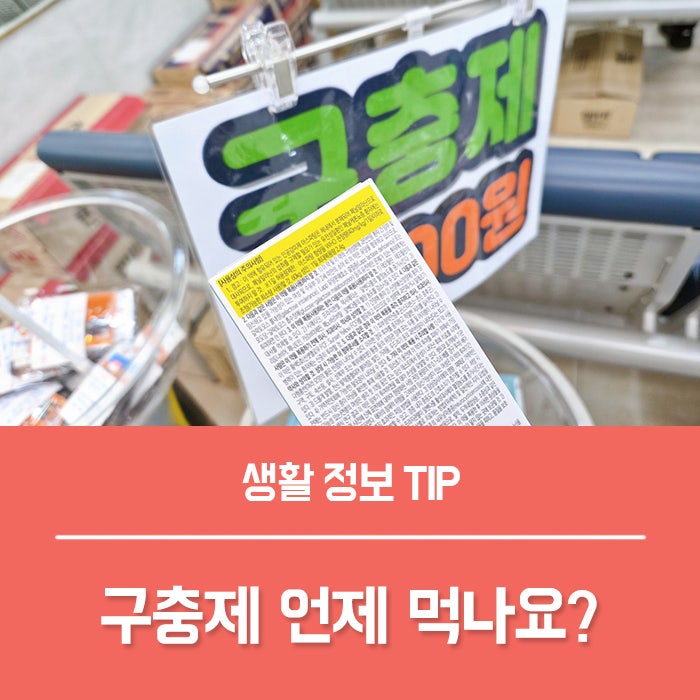 구충제 복용법 효과 부작용, 회충약 언제 먹나요?