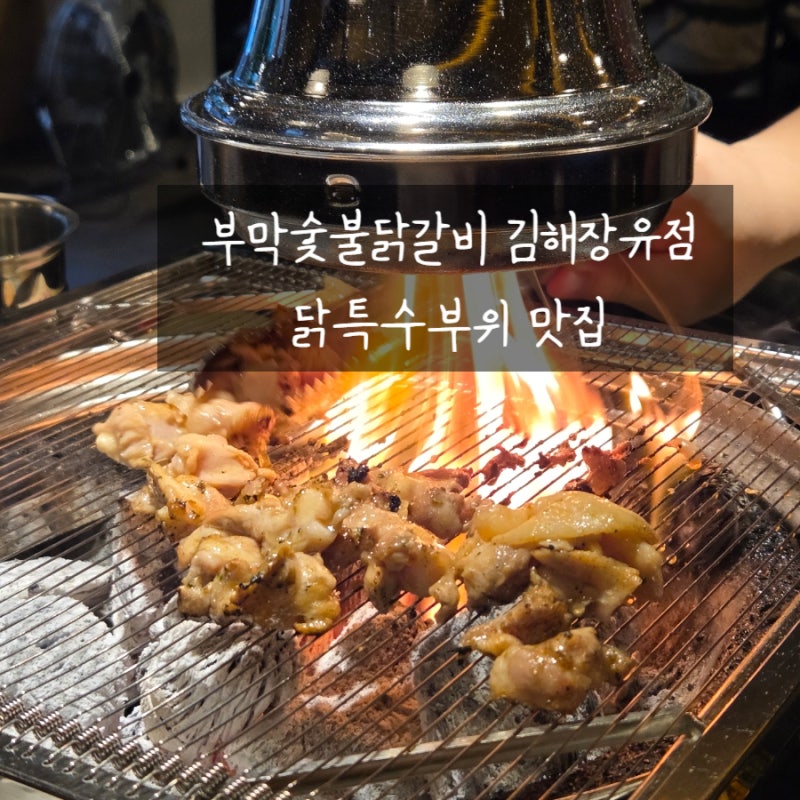 [김해 대청동] 롯데아울렛, 워터파크 근처 닭 특수부위 맛집 '부막숯불닭갈비'
