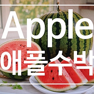애플수박 씨앗 및 단호박 씨앗 판매