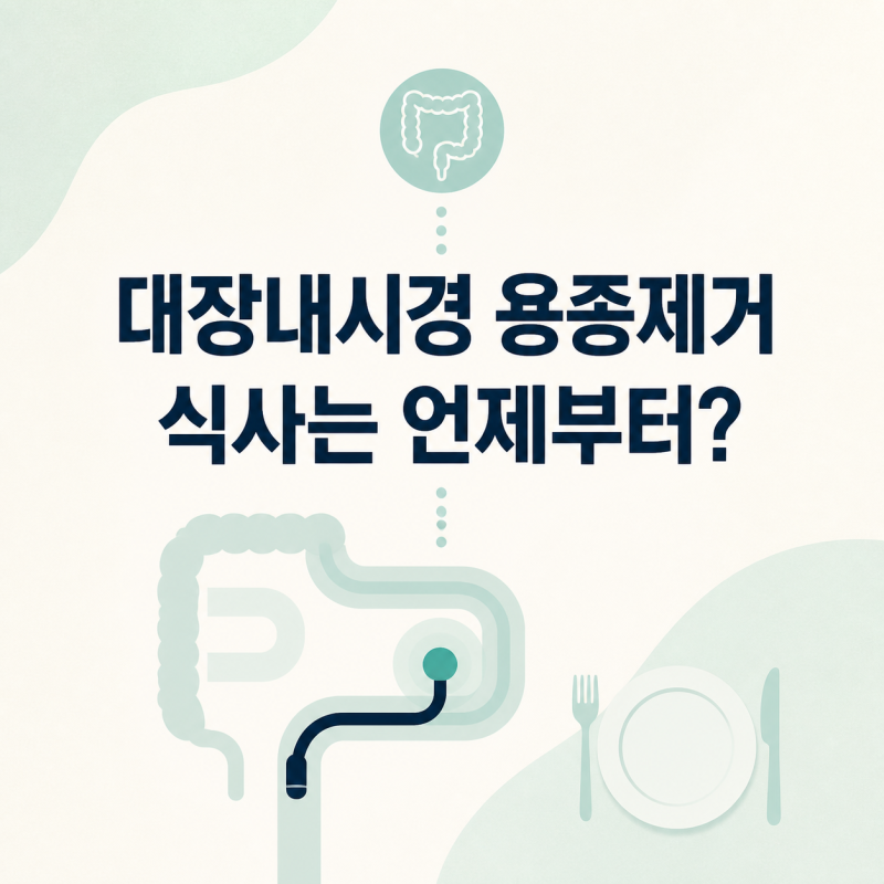 대장내시경 용종제거 전후, 식사 시간표 검사 전부터 제거 후까지