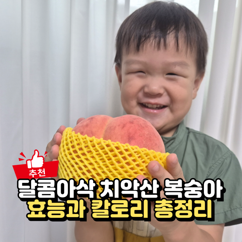 복숭아 효능 7가지와 칼로리, 치악산 복숭아 딱딱이 후기