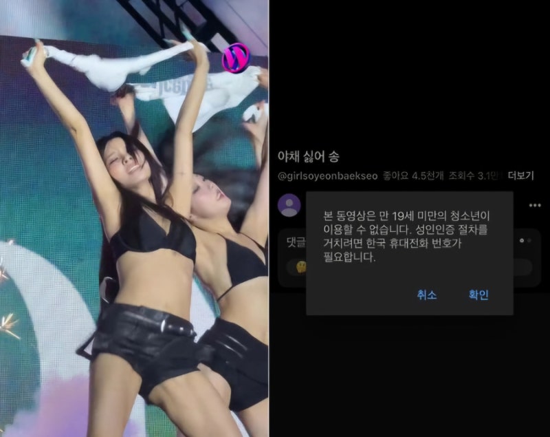 전소연 ‘야채 싫어 송’ 19금 뮤직비디오 화제…선정성 아닌 독특한 연출 때문