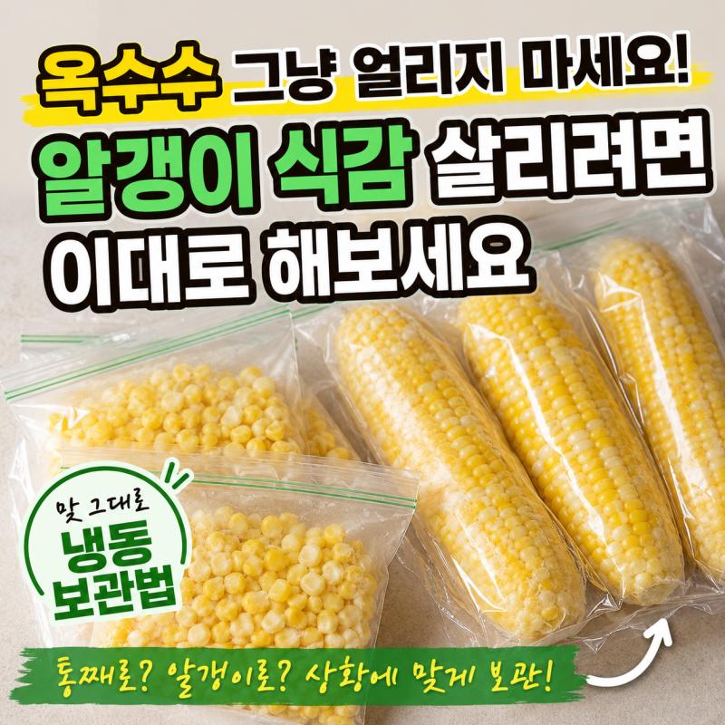 옥수수 냉동 보관법, 남은 찐옥수수 오래 두려면 이렇게 해보세요