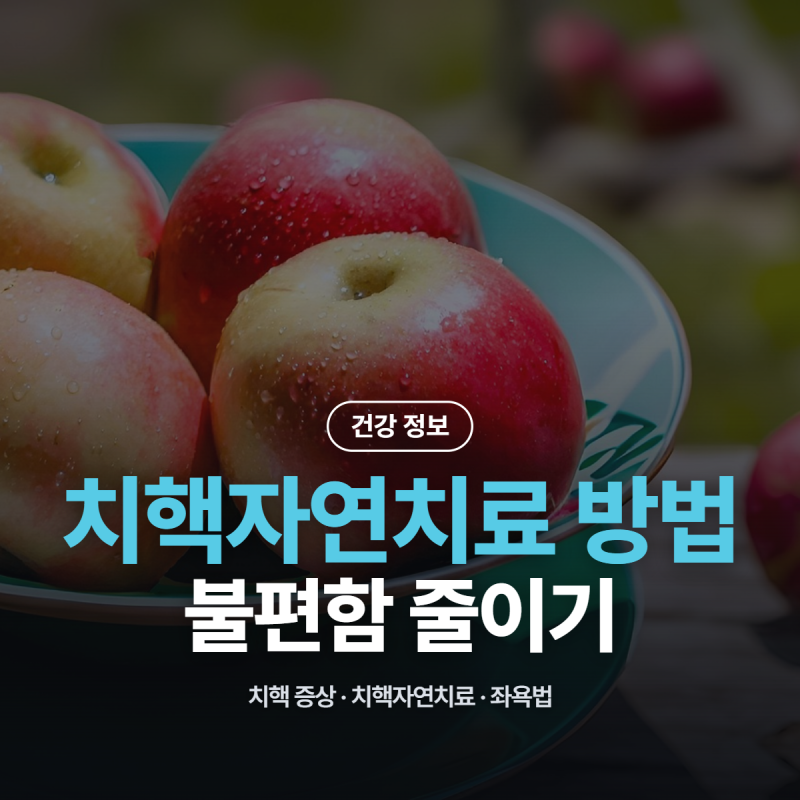 치핵 증상 방치하지 마세요, 치핵자연치료와 일상 속 불편함 줄이는 방법 총정리