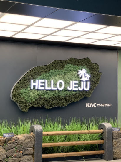제주 렌터카 가격비교 최저가 사이트 찾기 완벽가이드!