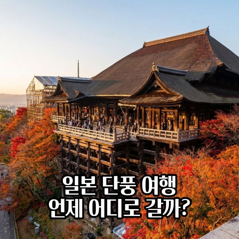 일본 단풍 여행지 추천 지역별 절정 시기와 일본의 단풍 문화