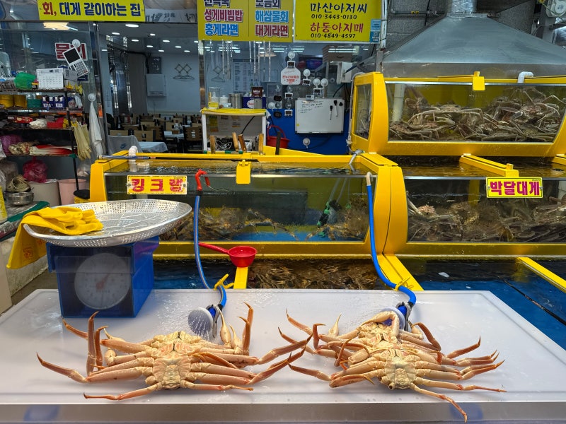 Pohang Attractions: Jukdo Market Food, Mulhoe, Raw Fish Restaurants, Parking