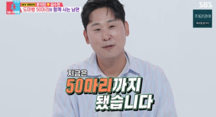 윤석민, 집에 도마뱀 50마리 키운다 “한 마리에 최고 700만원”