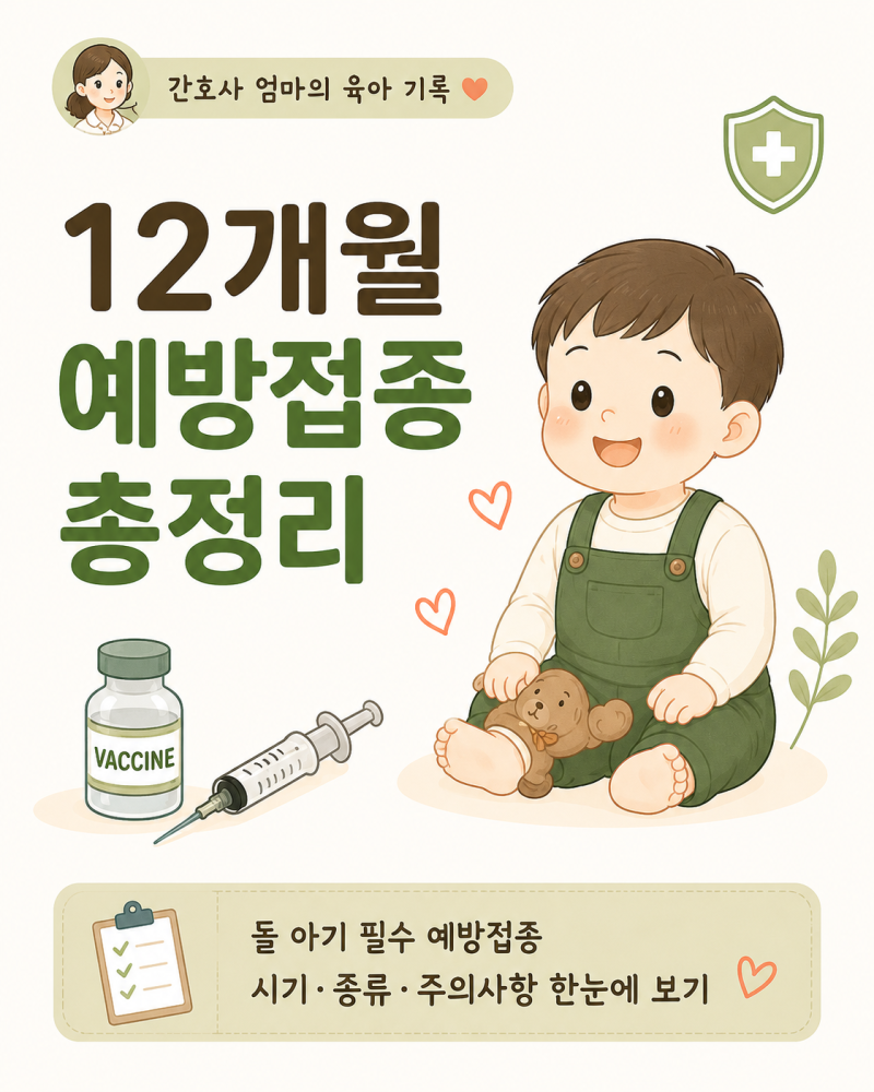 12개월 예방접종 총정리｜돌 아기 필수 예방접종 시기·종류·주의사항 한눈에 보기