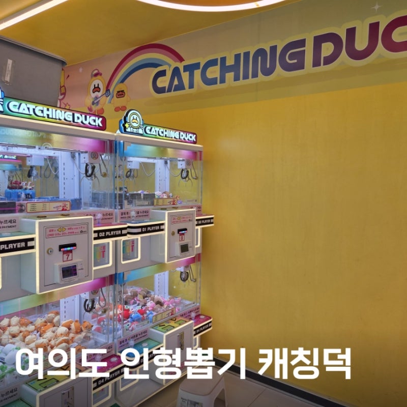 샛강역 캐칭덕 여의도점 여의도 놀거리 인형뽑기 노하우
