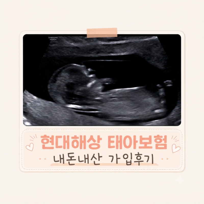 현대해상 태아보험 30세만기로 산모특약 설계사 추천받아 가입한 내돈내산 후기