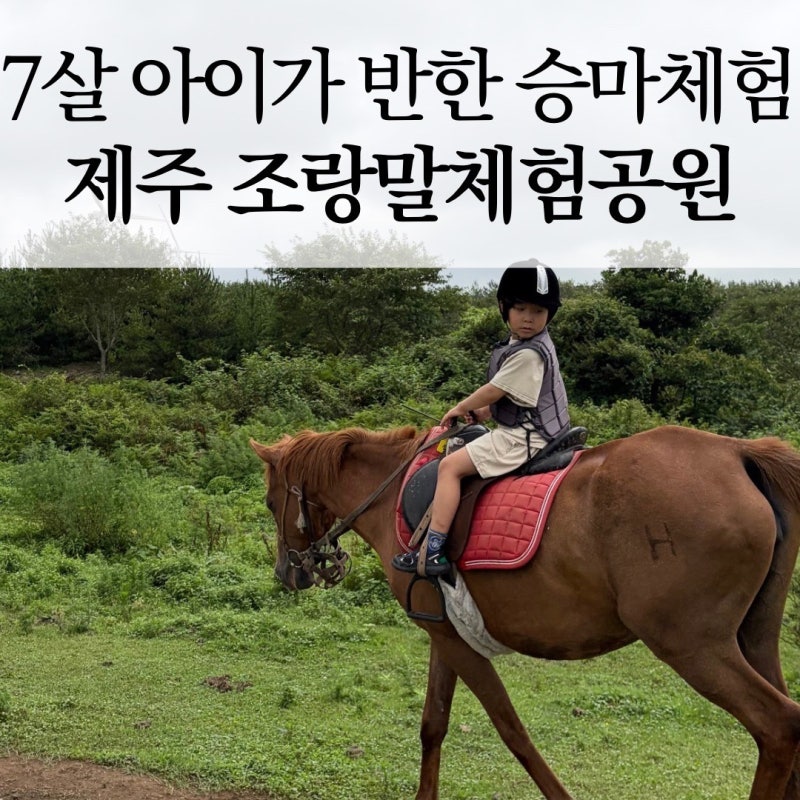 제주 아이랑 승마체험 어디가 좋을까? 7살 아들이 또 타고 싶다고 한 조랑말체험공원 B코스 25....