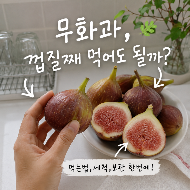 무화과 "껍질채 먹어도 될까?" 제대로 세척하고 먹는법 보관까지