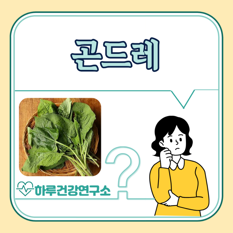 곤드레 효능 5가지, 부작용 : 곤드레나물 효능