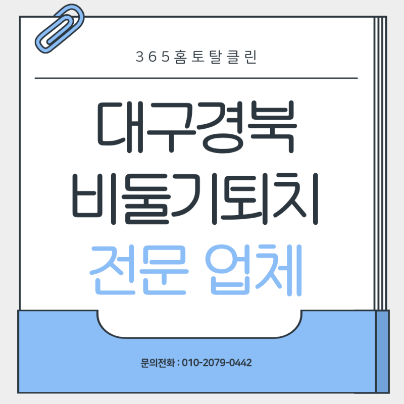 대구비둘기퇴치 배설물 처리부터 퇴치망 설치까지 한번에