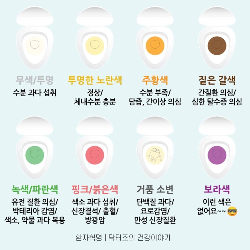 소변 색깔 냄새 건강신호 병원 가야 할 기준
