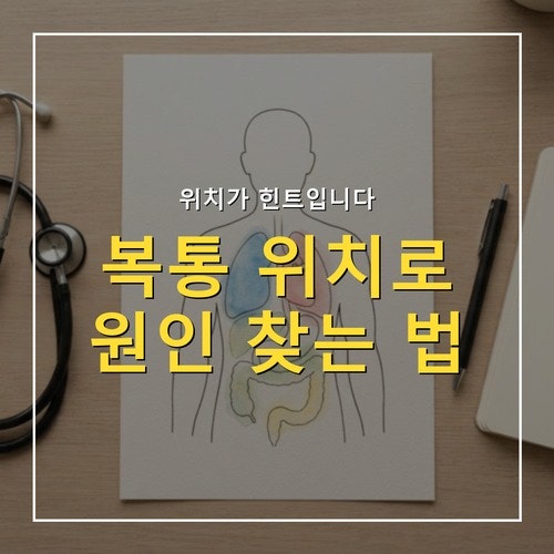 복통 위치로 원인 찾기, 오른쪽·왼쪽·명치 통증 구별법