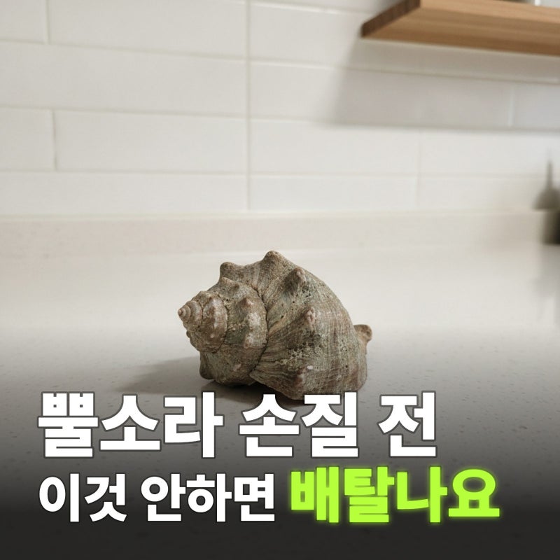 뿔소라 손질법 삶는법까지 완벽 정리!