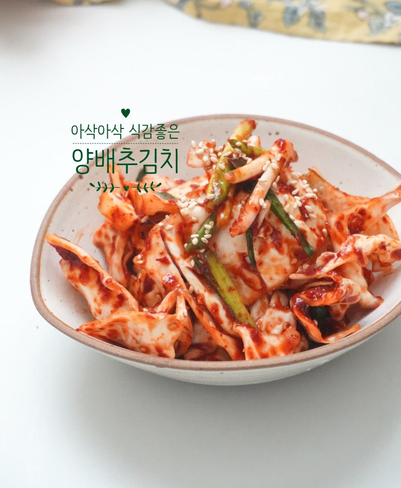 양배추김치 담그는법 양배추무침 겉절이 레시피