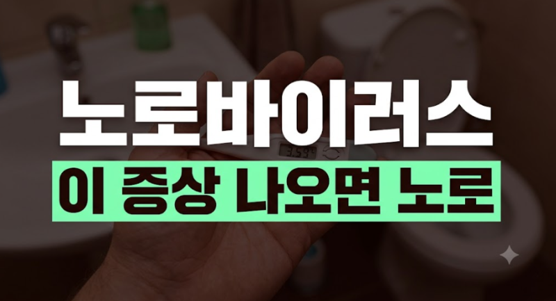 노로바이러스 증상 순서부터 잠복기 전염 격리기간까지 총정리