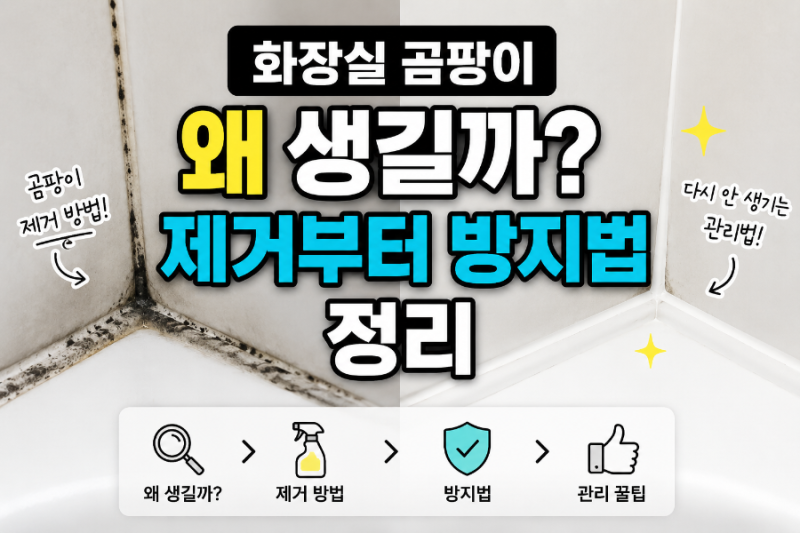화장실 곰팡이 왜 생길까? 제거부터 방지법 정리
