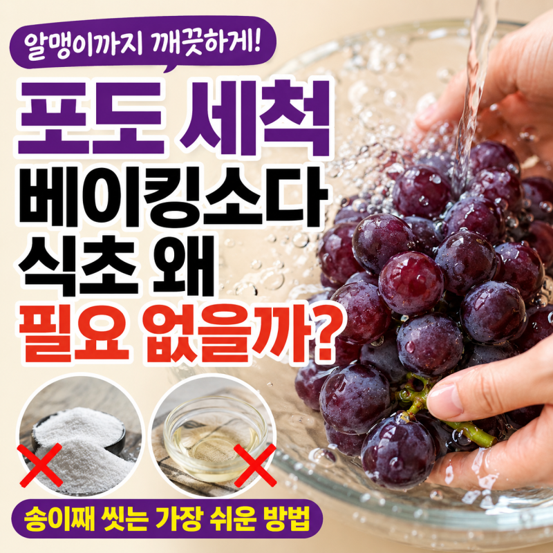 포도 세척 방법, 베이킹소다 식초보다 먼저 알아둘 씻는 순서