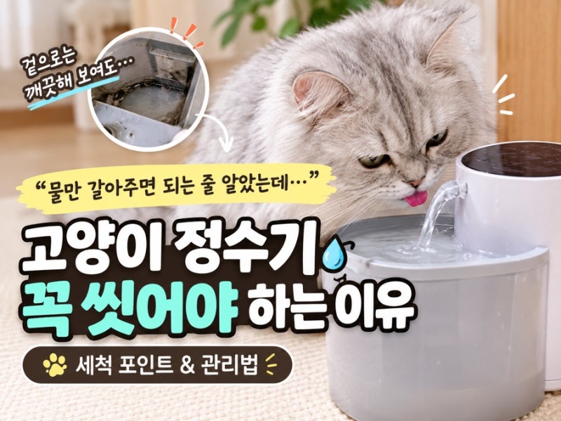“물만 갈아주면 되는 줄 알았는데…” 고양이 정수기 꼭 씻어야 하는 이유