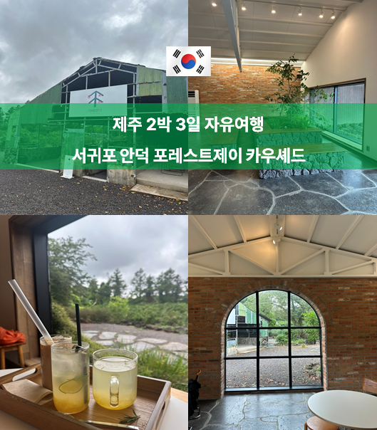제주 서귀포 카페 추천 포레스트제이 카우셰드 l 귤밭뷰 안덕 감성카페