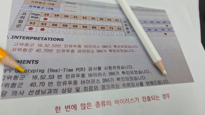 HPV검사 31 33 45 52 58 내 몸에서 소멸 가능할까